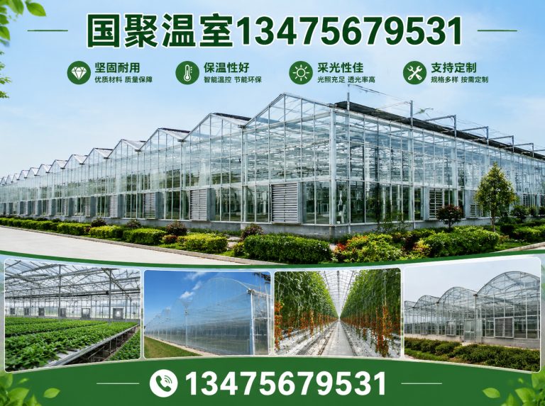 寿光市青州温室展示图